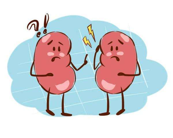 健康養(yǎng)生小知識(shí)！腎衰竭的早期癥狀表現(xiàn)有哪些？