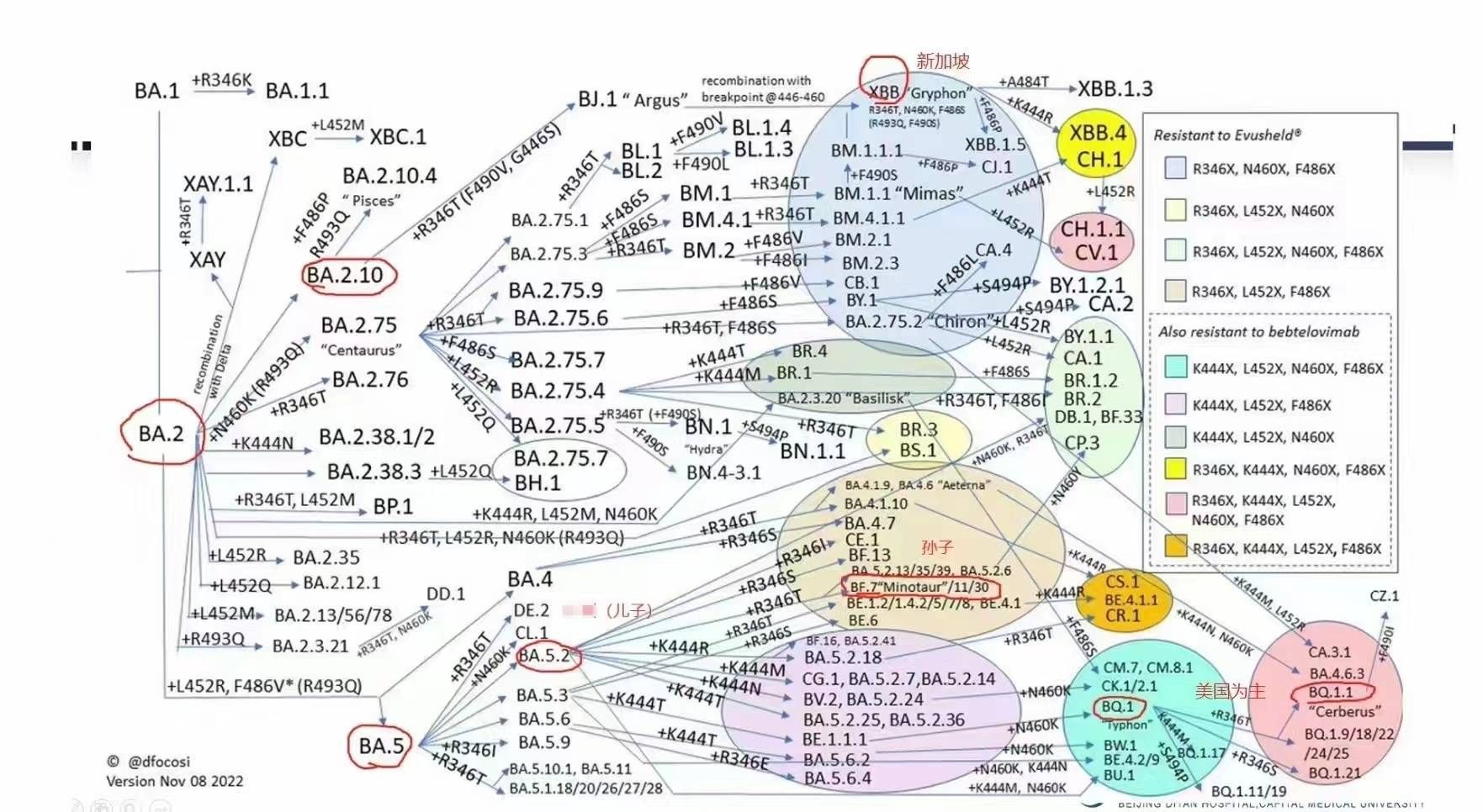 陽了哪些事情不能做？感染新冠康復之后哪些事要注意？